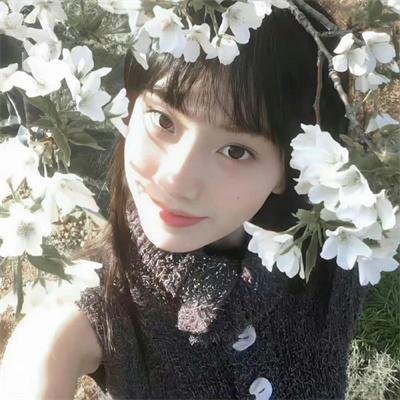霹雳娇娃